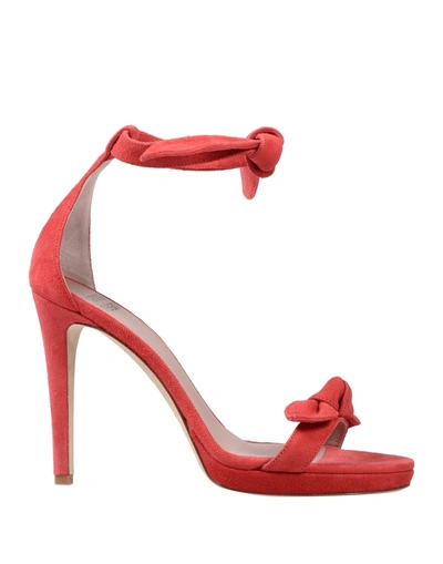 Shop Gianna Meliani Sandals In Red