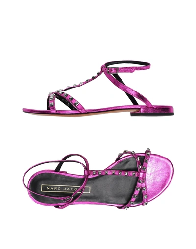 Shop Marc Jacobs Sandals In Fuchsia