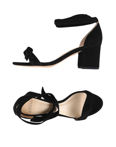 Shop Alexandre Birman Woman Sandals Black Size 8 Leather