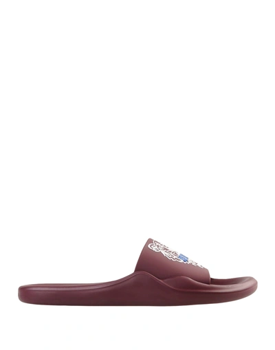 Shop Kenzo Sandales Plates Main Woman Slippers Burgundy Size 5 Pvc - Polyvinyl Chloride In Red