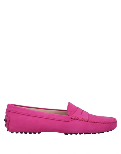 Shop Tod's Loafers In Light Purple