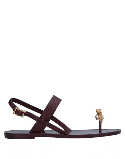 Shop Valentino Flip Flops In Maroon