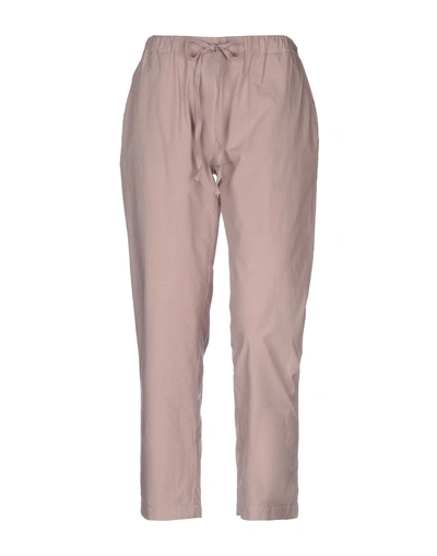 Shop Erika Cavallini Woman Pants Blush Size 10 Cotton In Pink