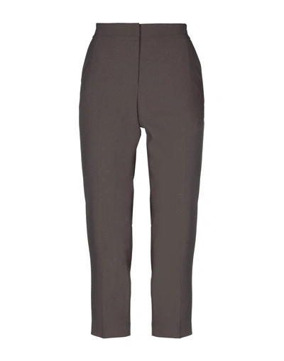 Shop Argonne Casual Pants In Dark Brown