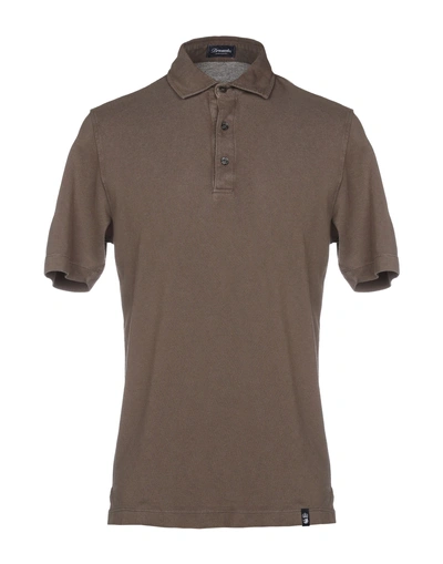 Shop Drumohr Man Polo Shirt Dark Brown Size S Cotton