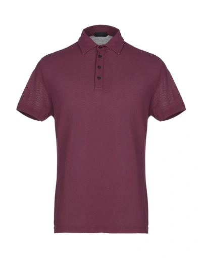 Shop Zanone Polo Shirts In Purple