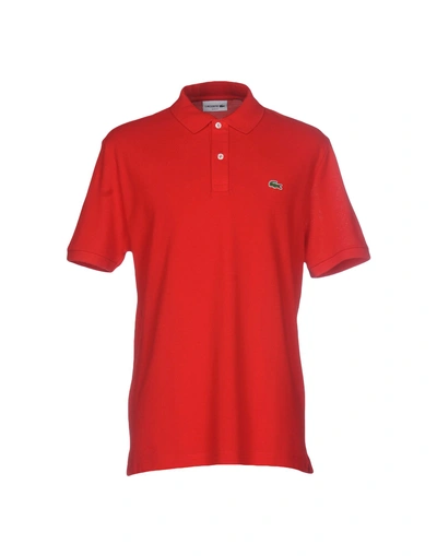 Shop Lacoste Man Polo Shirt Red Size 3 Cotton, Elastane