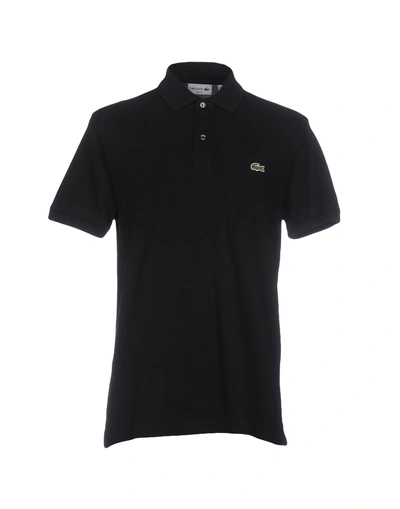 Shop Lacoste Man Polo Shirt Black Size 2 Cotton