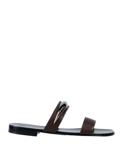 Shop Giuseppe Zanotti Sandals In Dark Brown