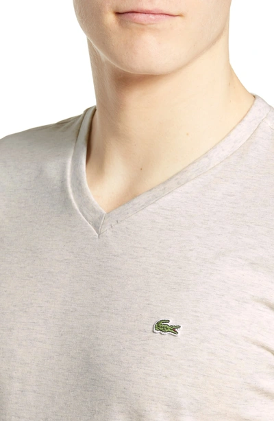 Shop Lacoste V-neck T-shirt In Alpes Grey Chine