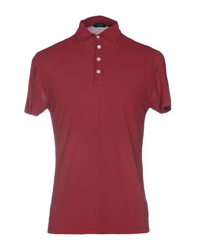 Shop Zanone Polo Shirts In Brick Red