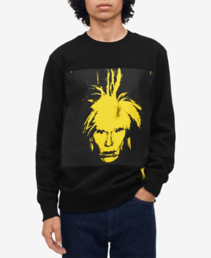 calvin klein warhol hoodie