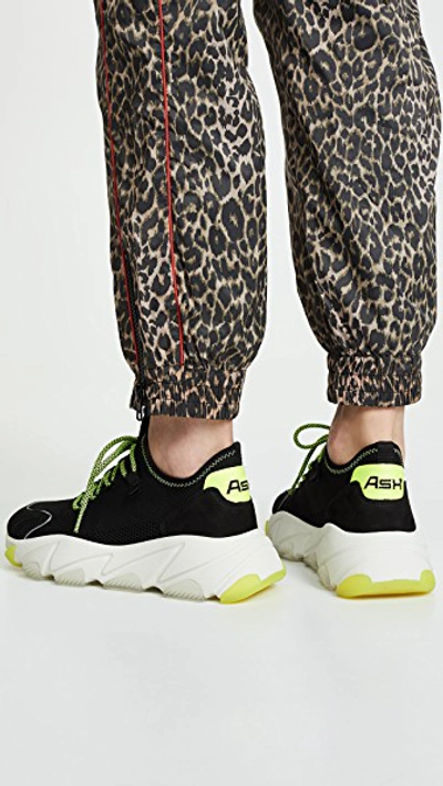 Shop Ash Excape Joggers In Black/silver/fluo Yellow