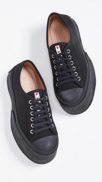 Shop Marni Classic Sneakers In Black