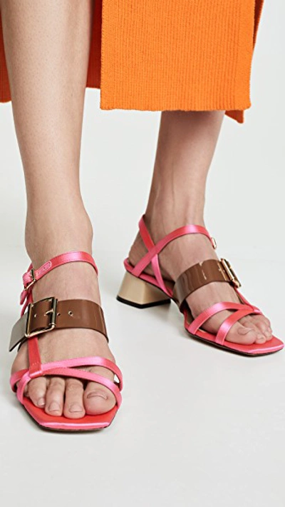 Shop Marni Mid Heel Sandals In Candy/marmot