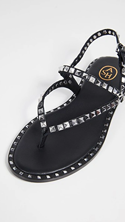 Shop Ash Peps Thong Sandals In Black/silver Studs