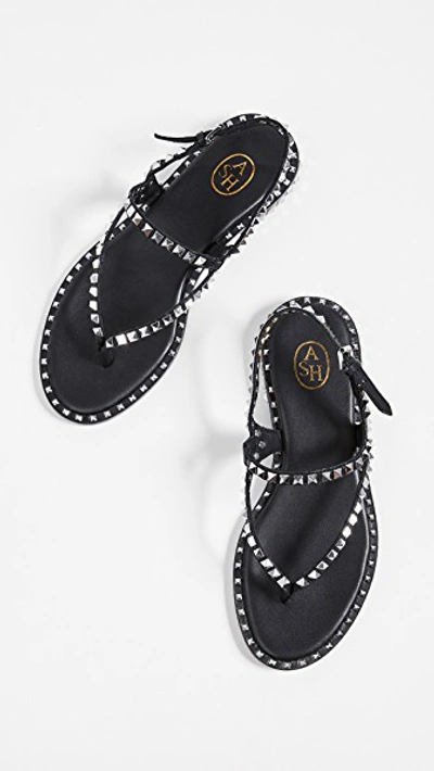 Shop Ash Peps Thong Sandals In Black/silver Studs