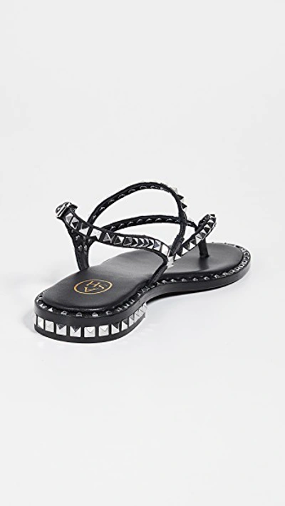 Shop Ash Peps Thong Sandals In Black/silver Studs