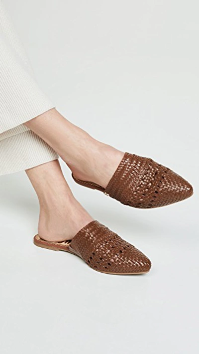 Shop Sam Edelman Natalya Mules In Brown Leather