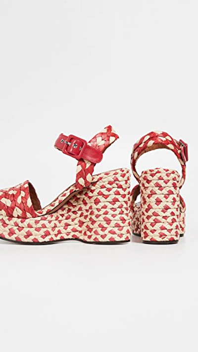 Shop Robert Clergerie Arizona Wedge Sandals In Hibiscus