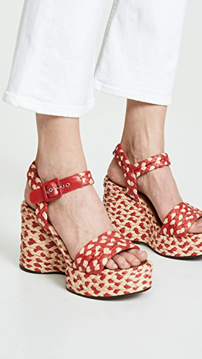 Shop Robert Clergerie Arizona Wedge Sandals In Hibiscus