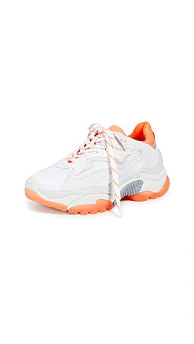 Shop Ash Addict Trainers In White/fluo Orange/silver