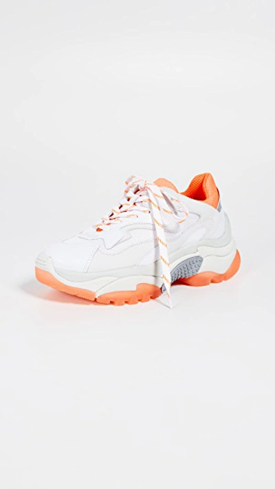 Shop Ash Addict Trainers In White/fluo Orange/silver