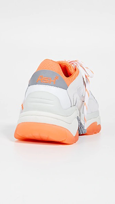 Shop Ash Addict Trainers In White/fluo Orange/silver