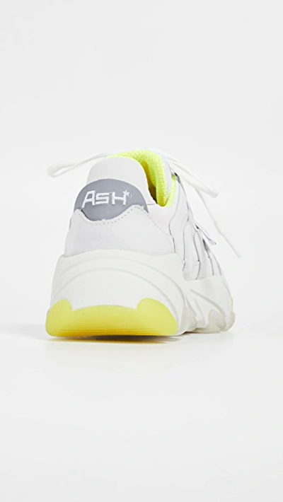 Shop Ash Extreme Trainers In White/silver