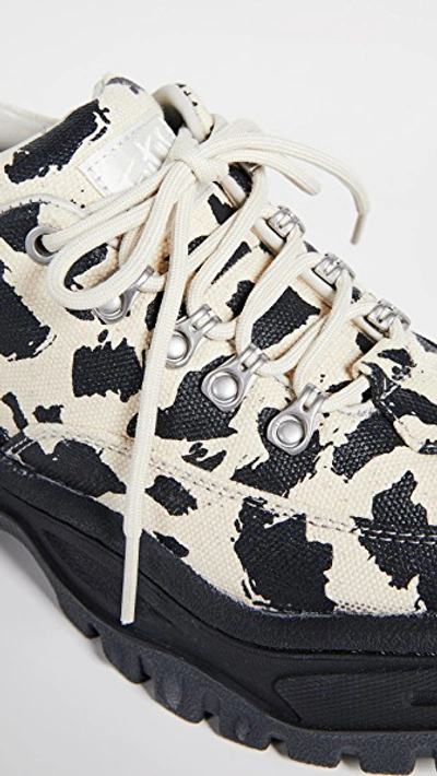 Shop Eytys Angel Print Sneakers In Serengeti