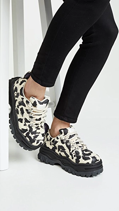 Shop Eytys Angel Print Sneakers In Serengeti