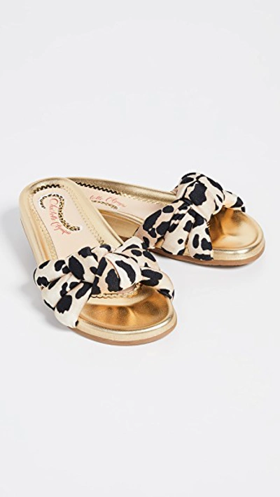 Shop Charlotte Olympia Dylan Slide Sandals In Leopard