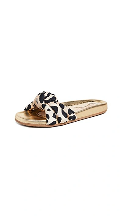 Shop Charlotte Olympia Dylan Slide Sandals In Leopard