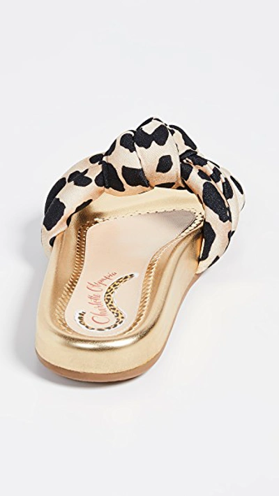 Shop Charlotte Olympia Dylan Slide Sandals In Leopard