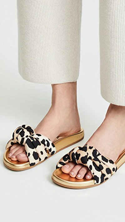 Shop Charlotte Olympia Dylan Slide Sandals In Leopard