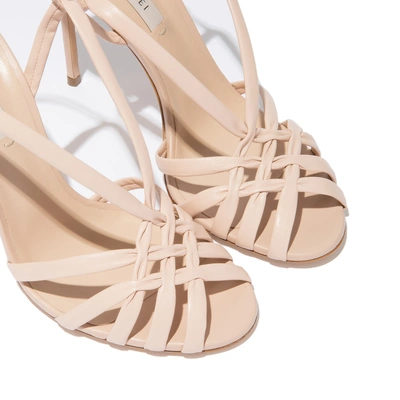 Shop Casadei Bonnie In Blush