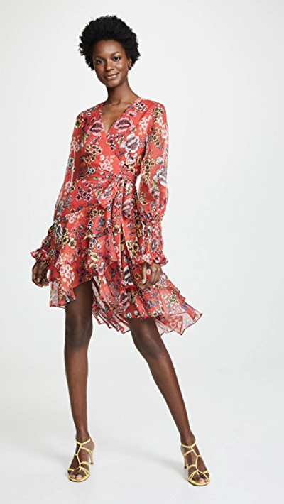 Shop Alexis Sidony Dress In Eden Floral Red