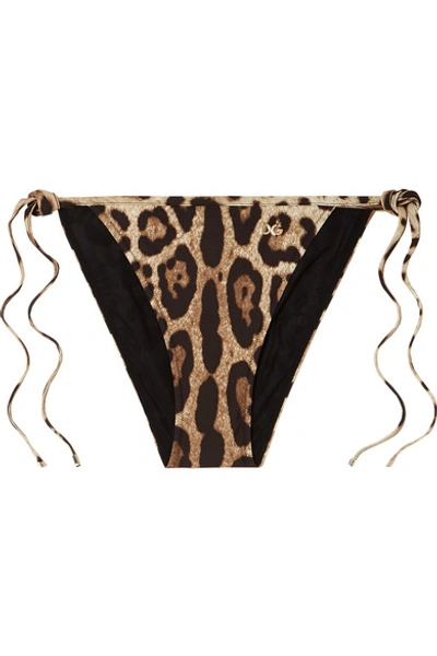 Shop Dolce & Gabbana Leopard-print Bikini Briefs In Leopard Print