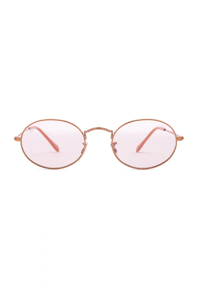 Shop Ray Ban Ray In Copper & Light Pink