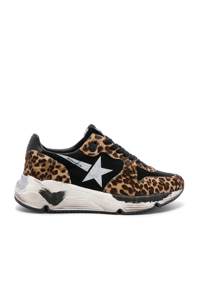 Shop Golden Goose Running Sole Sneaker In Leopard & White Star