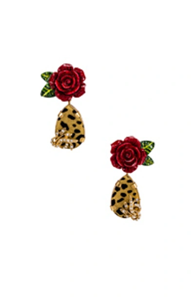Shop Dolce & Gabbana Leo & Roses Earrings In Gold