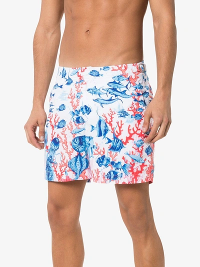 Shop Orlebar Brown Bulldog Fish Print Swim Shorts In White Blue Red