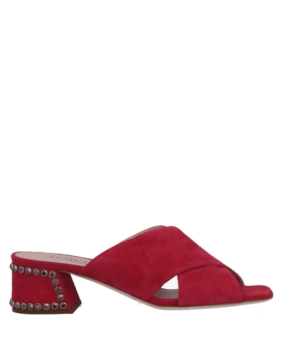 Shop Alberto Gozzi Sandals In Red