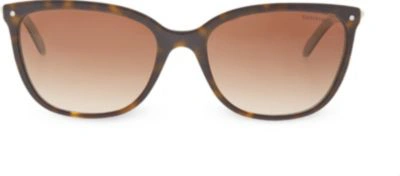 Shop Tiffany & Co Unisex Havana/blue Tf4105 Square Sunglasses