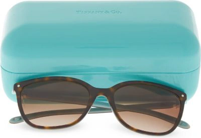 Shop Tiffany & Co Unisex Havana/blue Tf4105 Square Sunglasses
