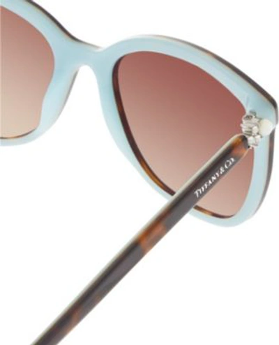 Shop Tiffany & Co Unisex Havana/blue Tf4105 Square Sunglasses