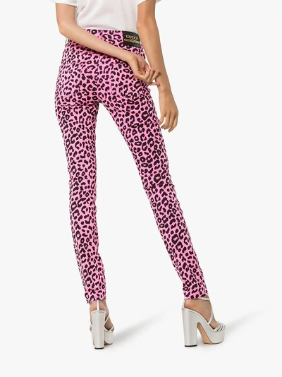 Shop Gucci Leopard Print High-waisted Skinny Jeans In 5053 Pink/black