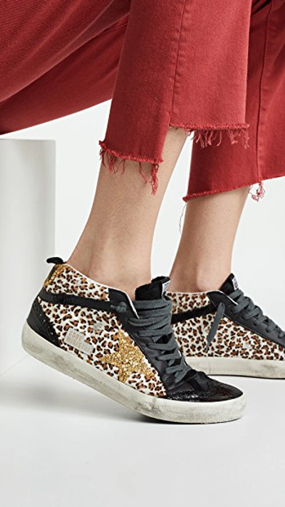 Shop Golden Goose Mid Star Sneakers In Leopard/gold Glitter