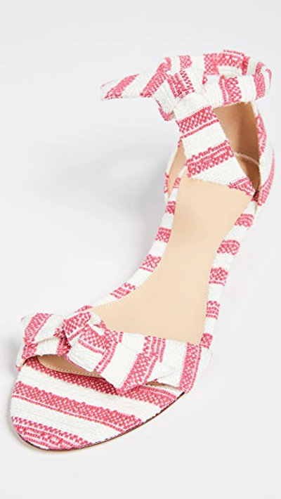 Shop Alexandre Birman Clarita Demi 35mm Wedge Sandals In Raspberry