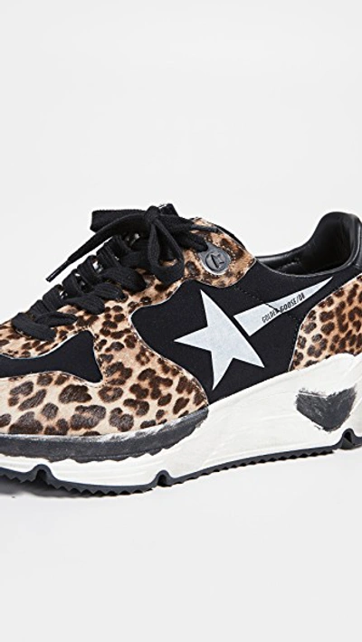 Shop Golden Goose Running Sole Sneakers In Leopard/white